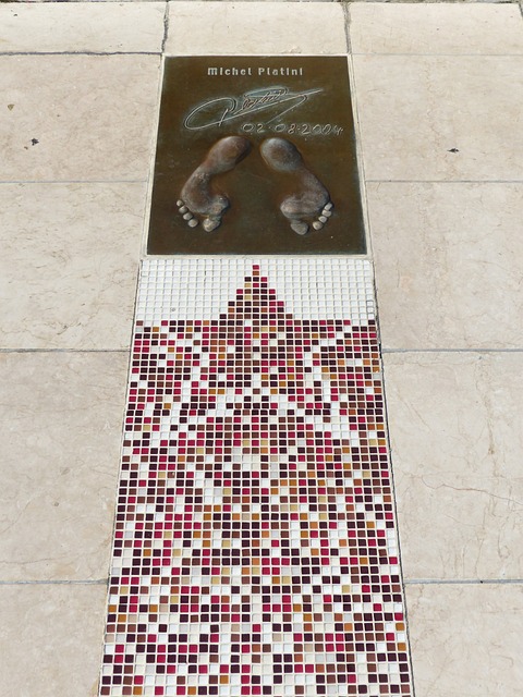 将粉丝们的 将粉丝们的